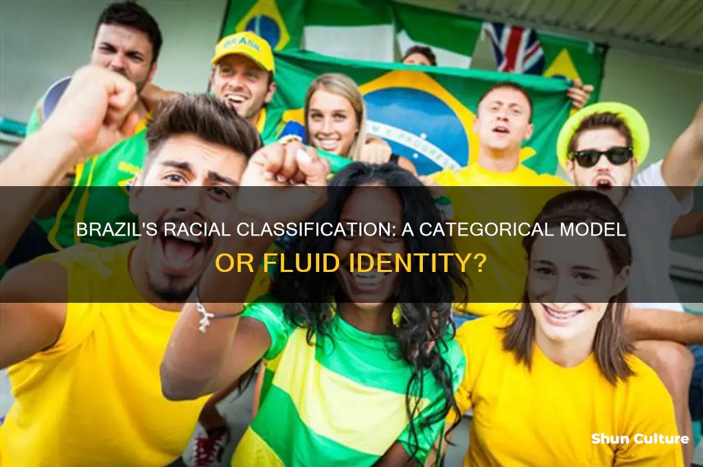 does brazil use a categorical model of racial classification