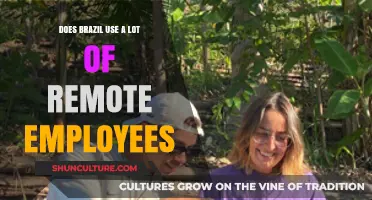 Brazil's Remote Work Trend: How Common Are Virtual Employees?