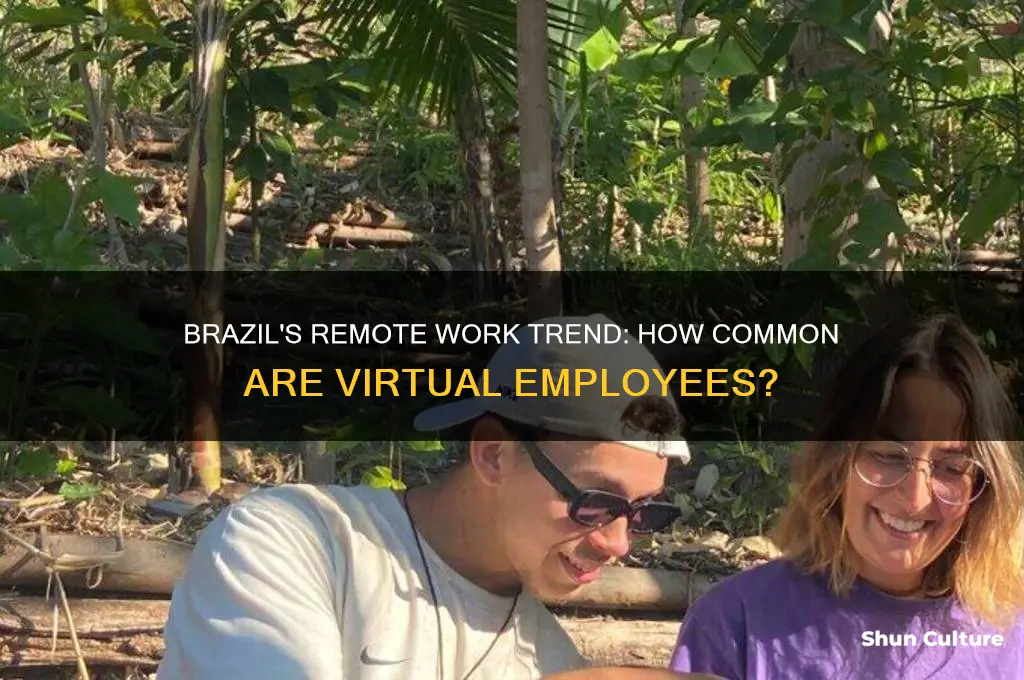 does brazil use a lot of remote employees