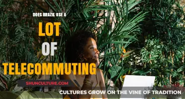 Brazil's Remote Work Revolution: How Much Telecommuting is Happening?