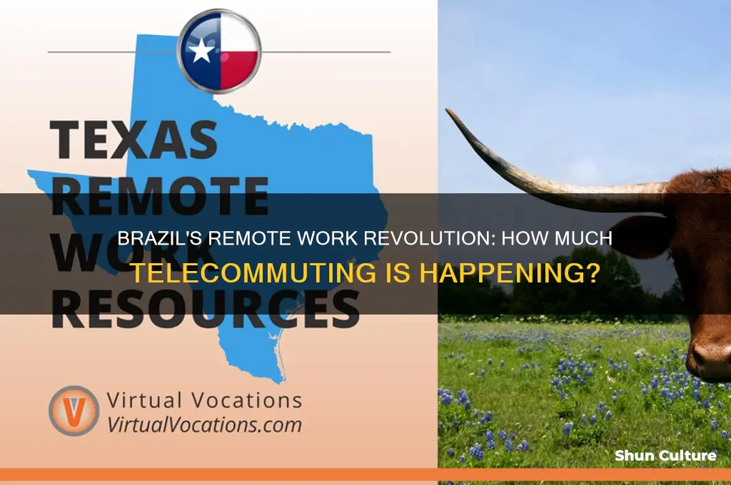 does brazil use a lot of telecommuting