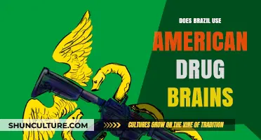 Brazil's Drug Policies: American Influence on Substance Abuse Strategies
