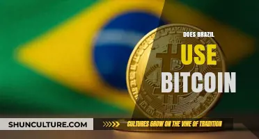 Does Brazil Embrace Bitcoin? Adoption, Trends, and Regulatory Insights
