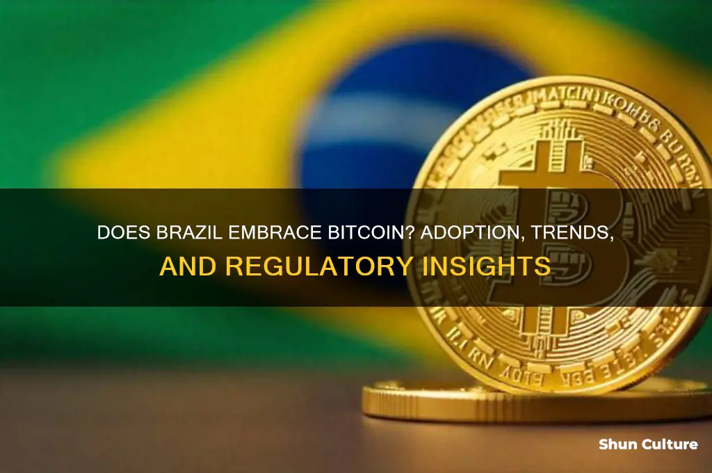 does brazil use bitcoin