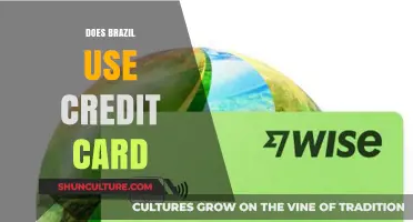 Brazil's Payment Habits: Credit Card Usage Trends and Insights