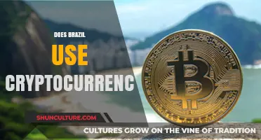 Brazil's Crypto Adoption: Exploring Digital Currency Use and Trends