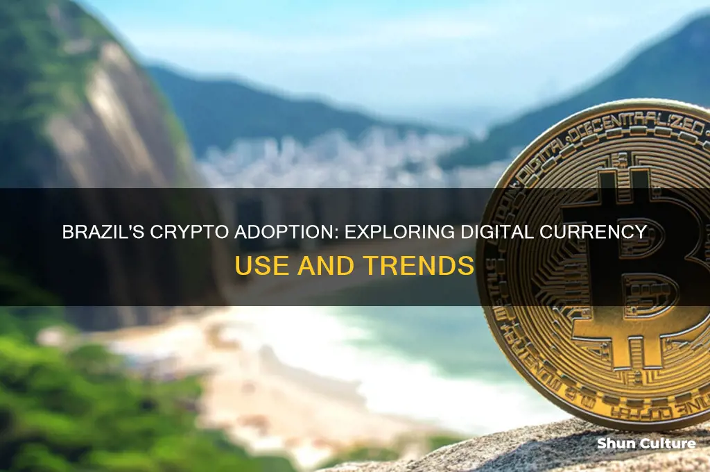 does brazil use cryptocurrency