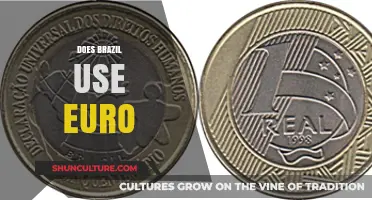 Does Brazil Use the Euro? Clearing Up Currency Confusion