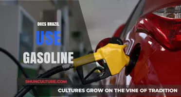Does Brazil Use Gasoline? Exploring Fuel Choices in South America