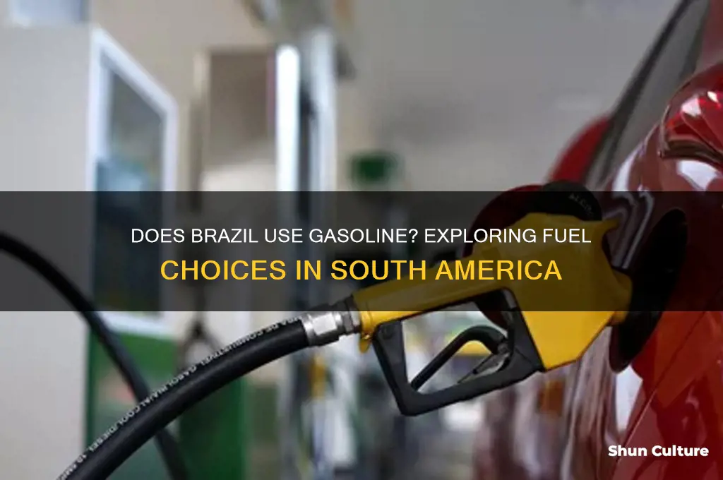 does brazil use gasoline