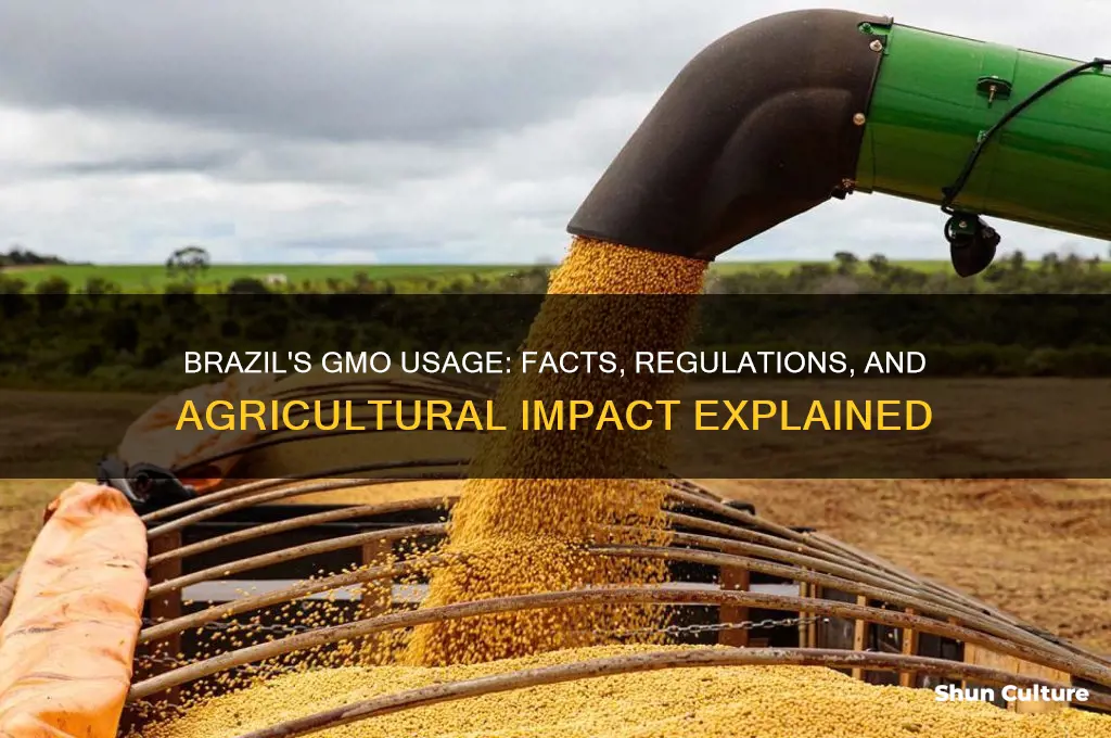 does brazil use gmos