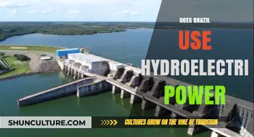 Brazil's Hydroelectric Power: A Sustainable Energy Source or Environmental Concern?