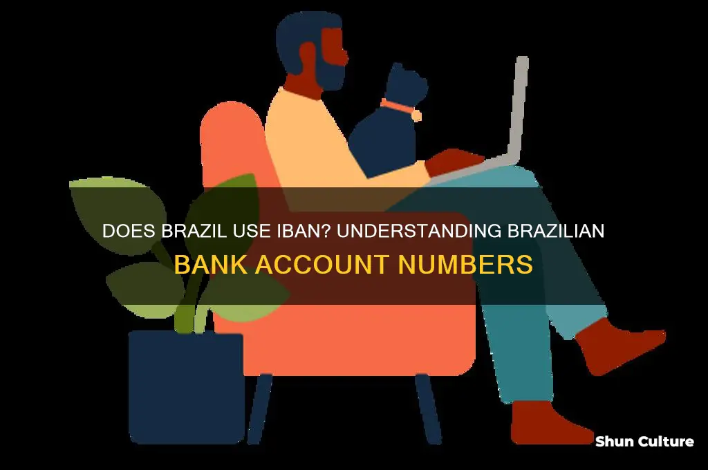 does brazil use iban