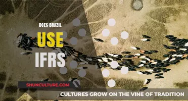 Does Brazil Use IFRS? Exploring Accounting Standards in Brazil