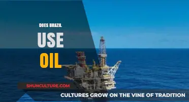 Brazil's Energy Reliance: Oil's Role in the Nation's Economy
