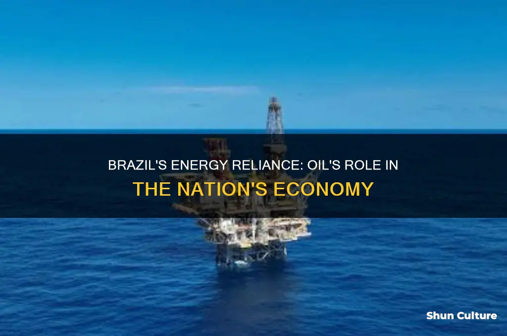 does brazil use oil