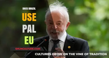Does Brazil Use PAL or EU Standards? A Comprehensive Guide