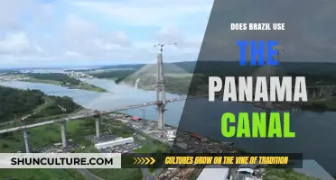 Does Brazil Utilize the Panama Canal for Trade and Transit?