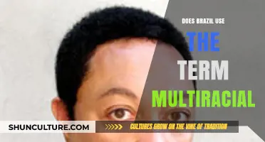 Brazil's Racial Identity: Understanding the Use of 'Multiracial' in Culture