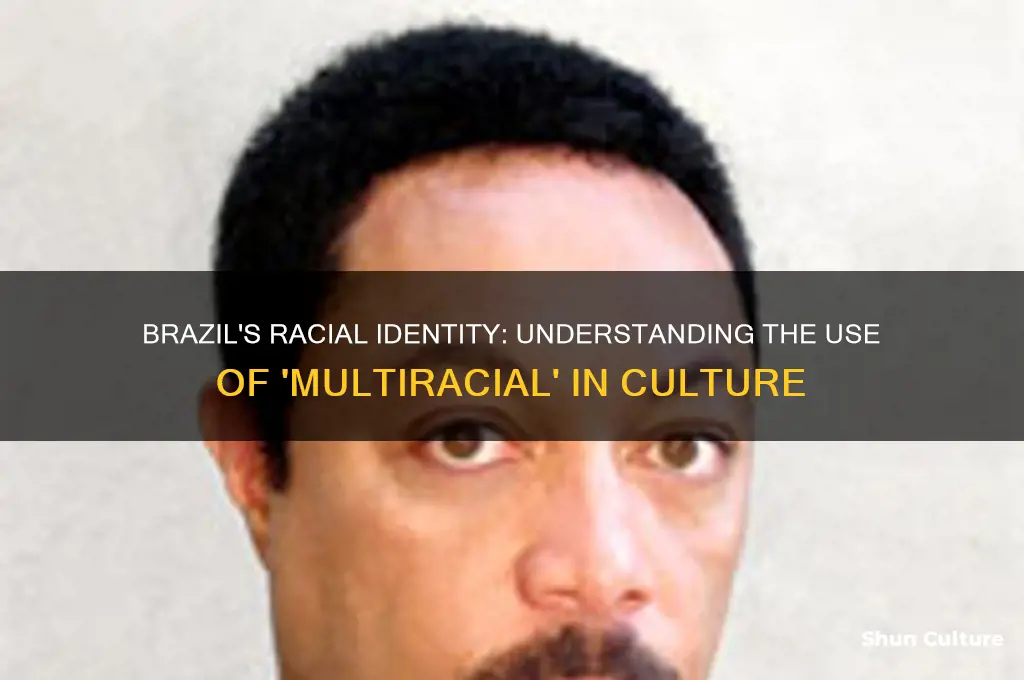 does brazil use the term multiracial