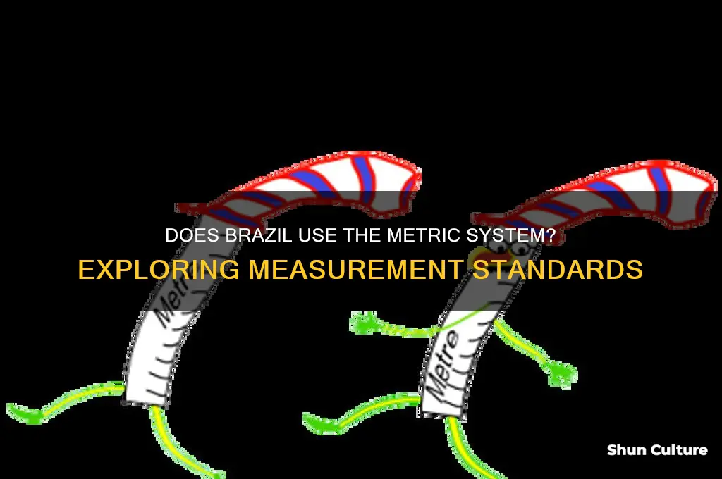 does brazil use the