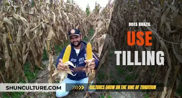 Does Brazil Use Tilling? Exploring Agricultural Practices in Brazilian Farming