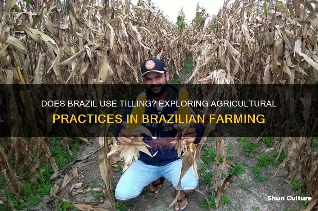 does brazil use tilling