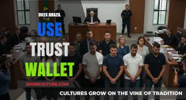 Does Brazil Use Trust Wallet? Exploring Crypto Adoption in South America