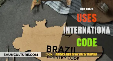 Does Brazil Adopt International Codes? A Comprehensive Legal Overview