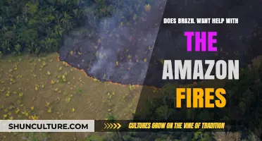 Brazil's Amazon Fires: Seeking Global Aid or Self-Reliance?