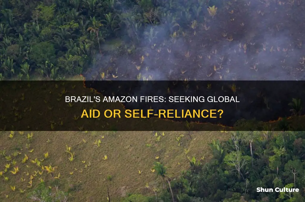 does brazil want help with the amazon fires