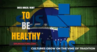 Brazil's Health Quest: Priorities, Challenges, and Cultural Influences Explored