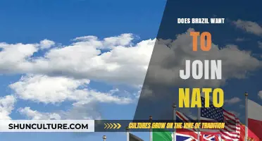 Brazil's NATO Ambitions: Exploring Membership Prospects and Global Implications