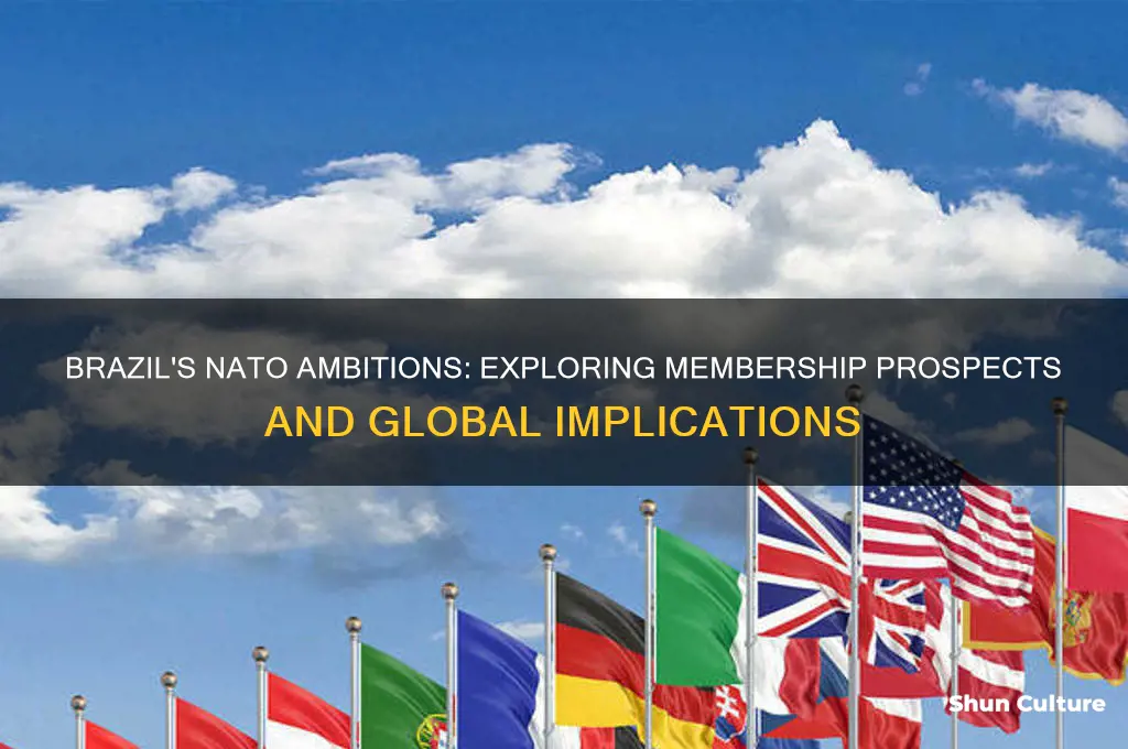 does brazil want to join nato