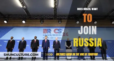 Brazil's Geopolitical Shift: Exploring Potential Alliance with Russia Amid Global Tensions