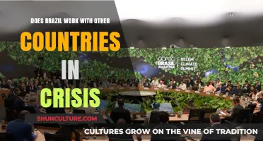 Brazil's Global Role: Collaborating in Times of International Crisis
