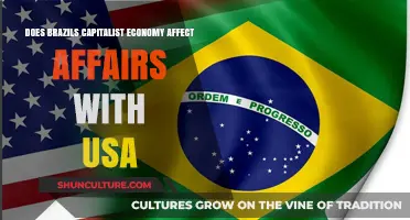 Brazil's Capitalist Economy: Shaping Diplomatic and Trade Relations with the USA