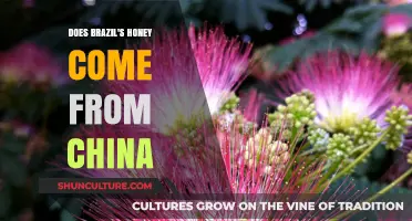 Brazil's Honey: Uncovering the Truth About Chinese Imports
