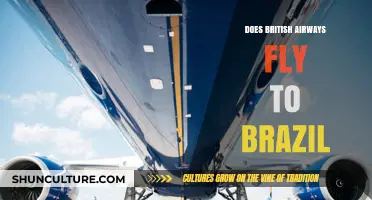 Does British Airways Fly to Brazil? Routes and Destinations Explained