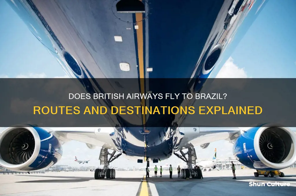 does british airways fly to brazil
