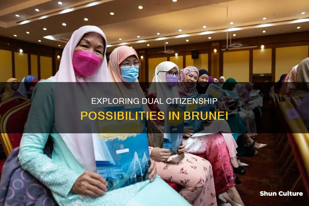 does brunei allow dual citizenship