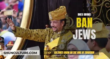 Brunei's Jewish Ban: Religious Discrimination or Political Strategy?