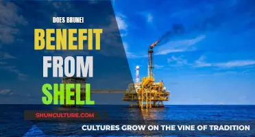 Shell's Impact: Weighing Brunei's Benefits and Burdens