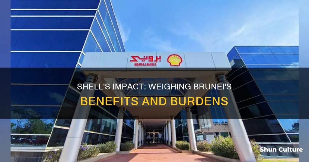 does brunei benefit from shell