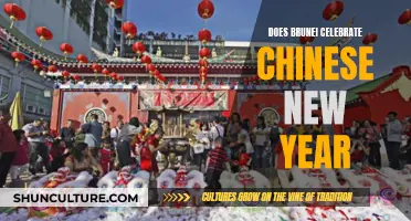 Celebrating Chinese New Year: Brunei's Cultural Diversity