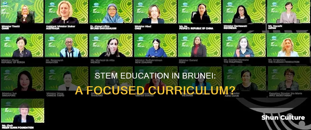 does brunei focus on stem education