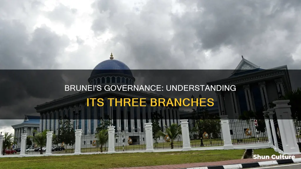 does brunei have 3 government branches