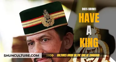 Who Rules Brunei? A King's Power Explained