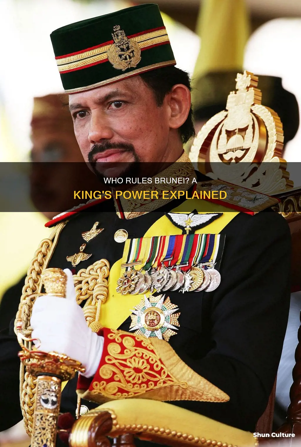 does brunei have a king