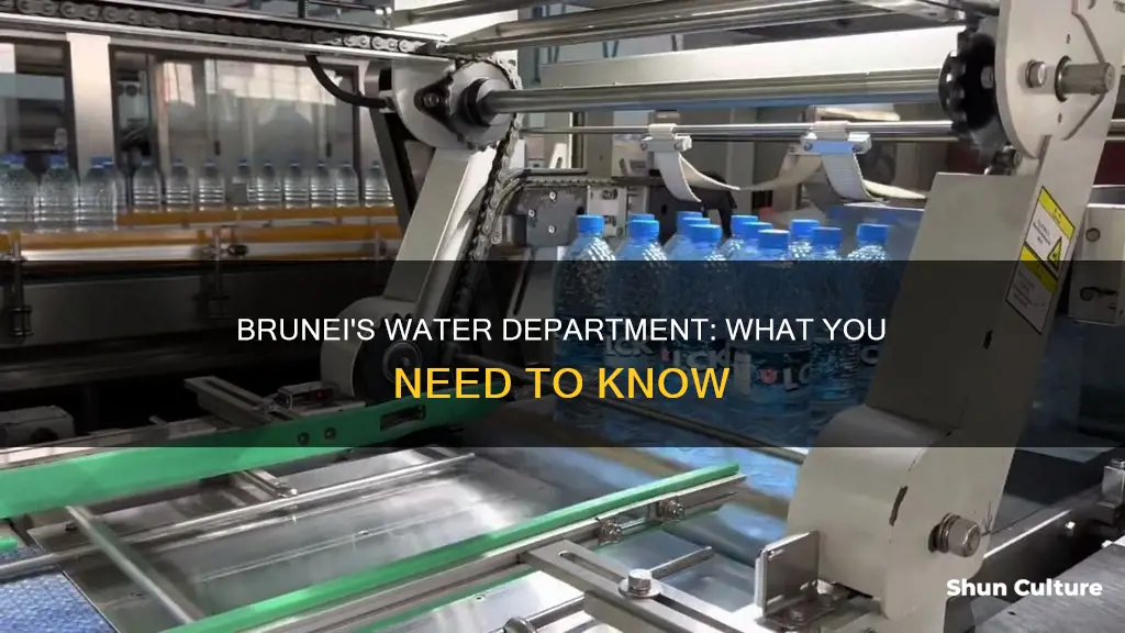 does brunei have a water department